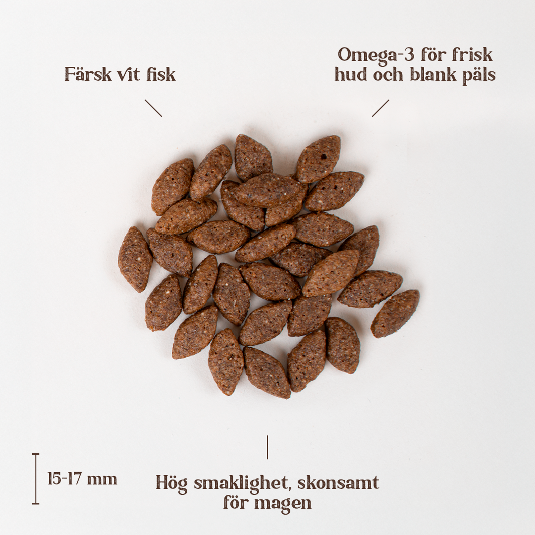 White fish all breed.png