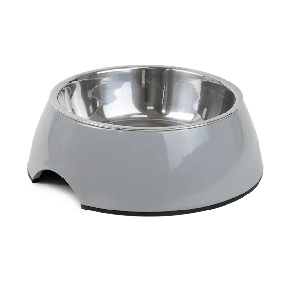 Food bowl Solid Gray M