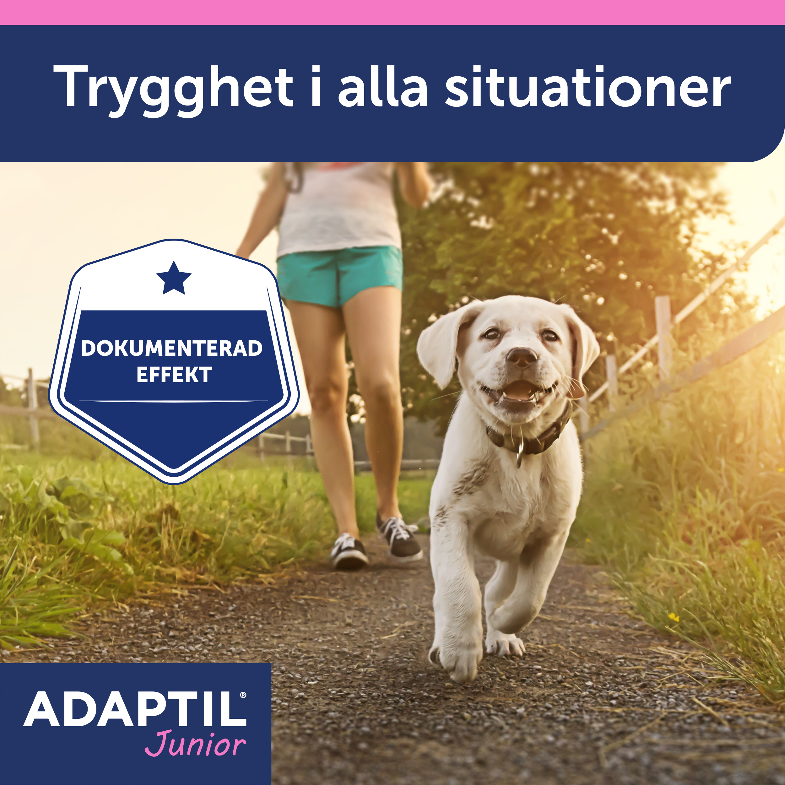 Adaptil Junior halsband_2_3411112940417.jpg