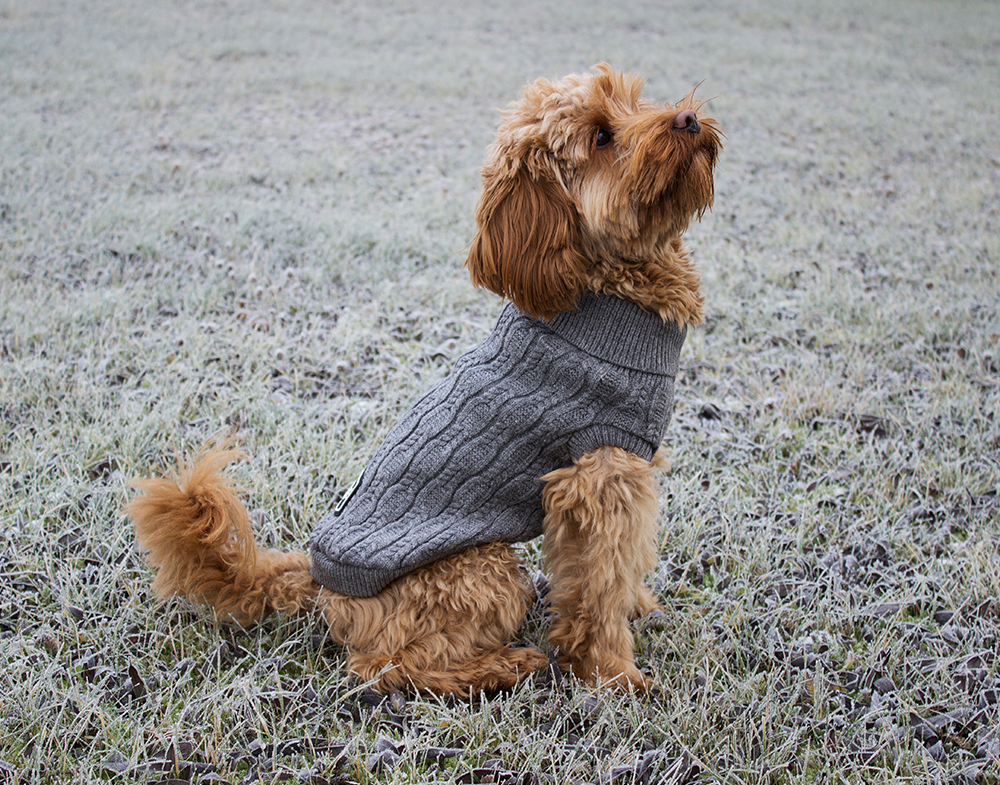 20540, 20541, 20542, 20543, 20544 (3).png