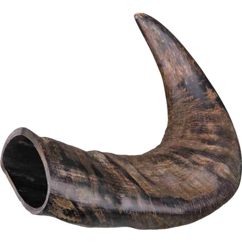 Trixie - Buffalo Chewing Horn Durable Black Medium - Hund - Hundgodis - ZOO.se