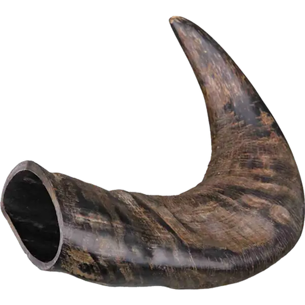 Buffalo Chewing Horn Durable