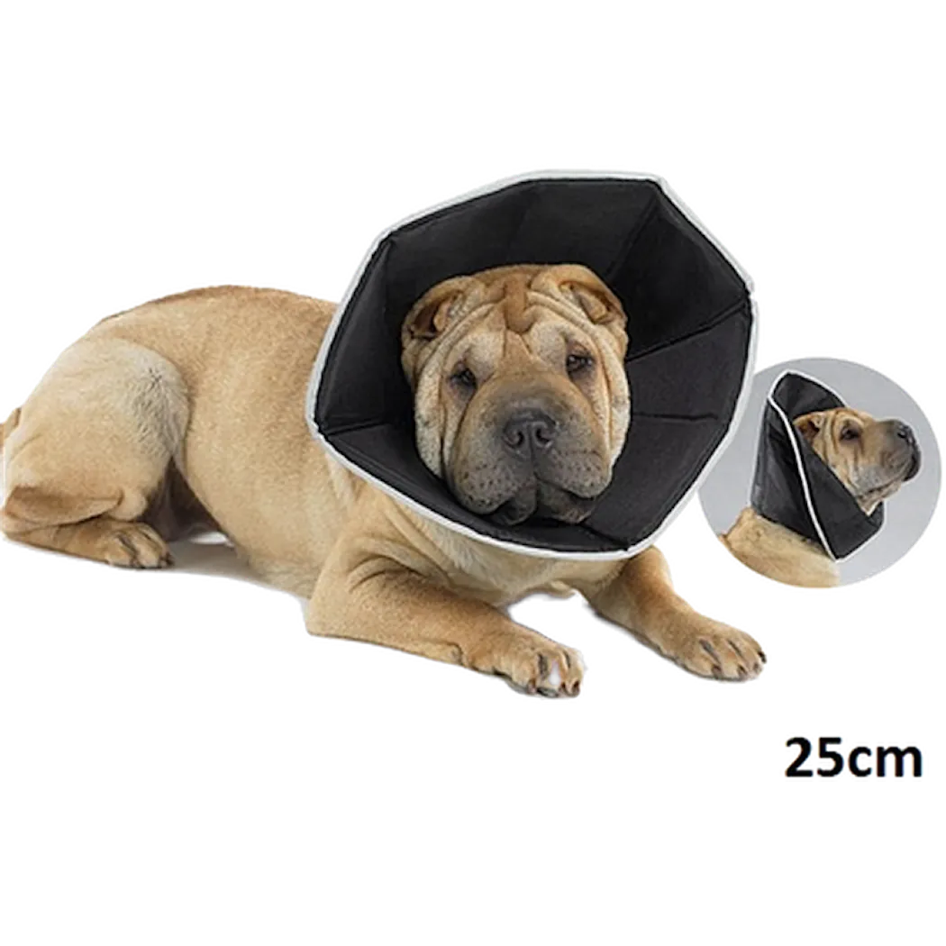 AFP All For Paws The Comfy Cone Pet Recovery Collar