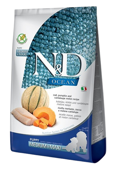 N&D Dog Ocean Codfish Pumpkin & Cantaloupe Melon Puppy Medium & Maxi 2,5 kg