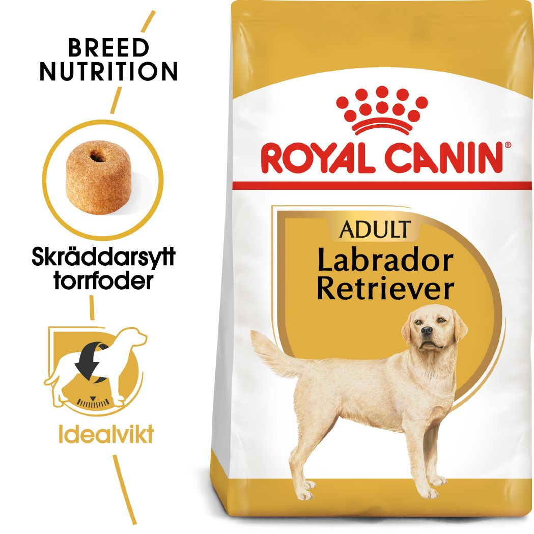 Labrador Retriever Adult Torrfoder för hund 12 kg