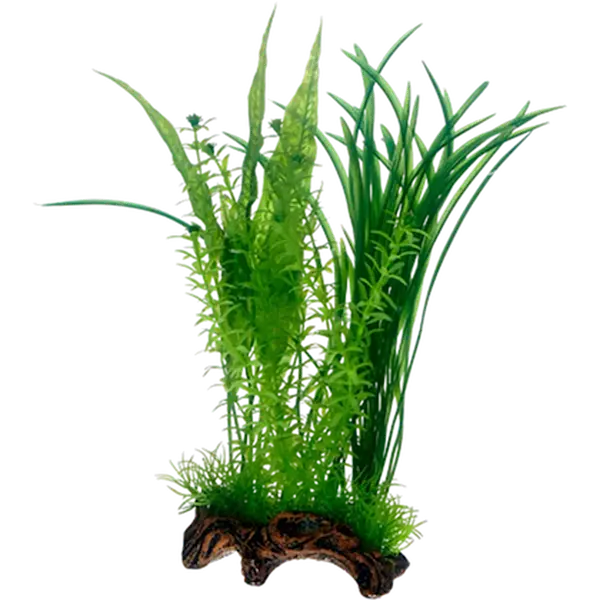 Flora Root 1 Green 30 cm