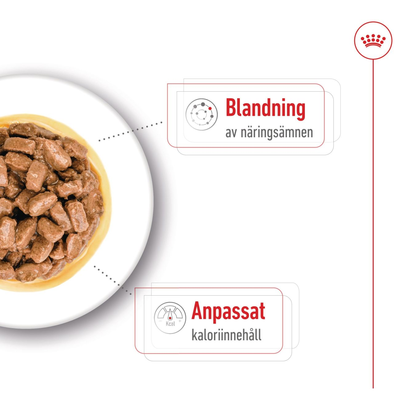 Royal Canin Mini Ageing Våtfôr for hunder 85 g x 12 stk | ZOO.no