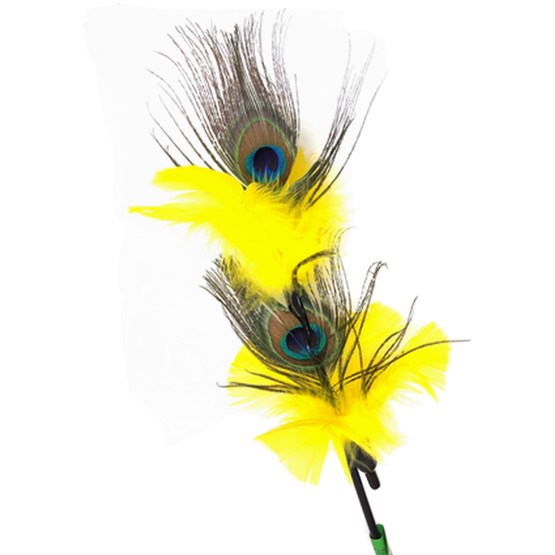 VEE Enterprises - PURRfect Peacock Feather Cat Toy - Katt - Kattleksaker - ZOO.se