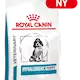 Royal Canin Veterinary Diets Dog Derma Hypoallergenic Puppy tørrfôr for hunder