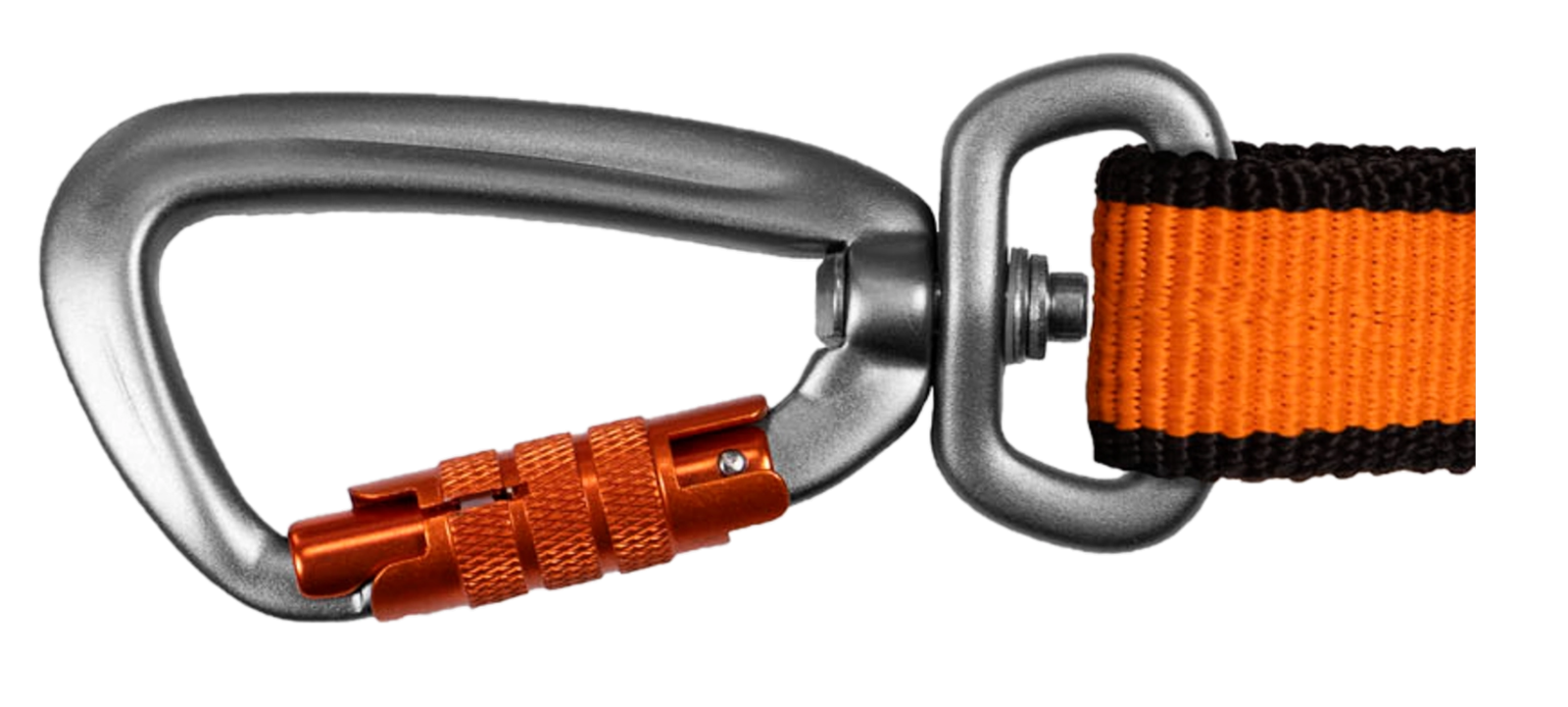 bungee leash hake.png