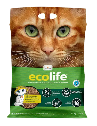 EcoLife-kissanhiekka