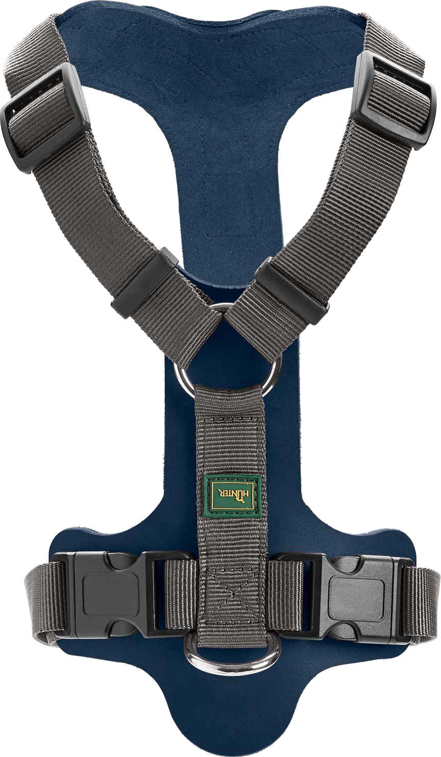 hunter_dog_harness_aalborg_mixed_blue_002.png