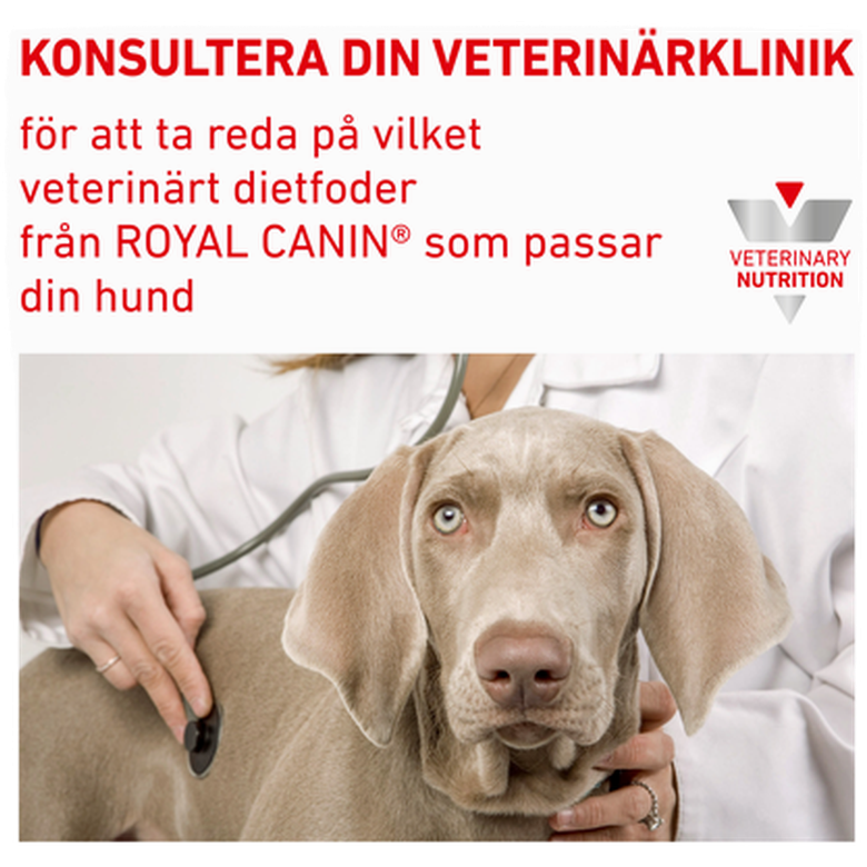 Oprigtighed gaffel drivende Royal Canin Veterinary Diet Dog Urinary UC Low Purine JungleVet |  idusem.idu.edu.tr