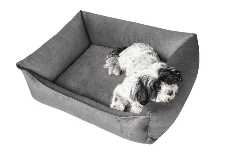 Hunter Sofa Orthopedic Merida grå hund.png