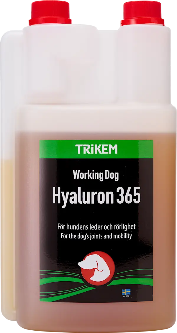 WorkingDog Hyaluron365