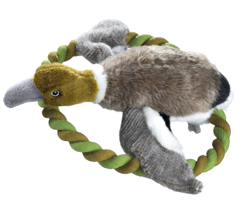 Dog Toy Wildlife Train Duck 26 cm Polyester