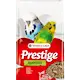 Prestige Budgie (Undulat)