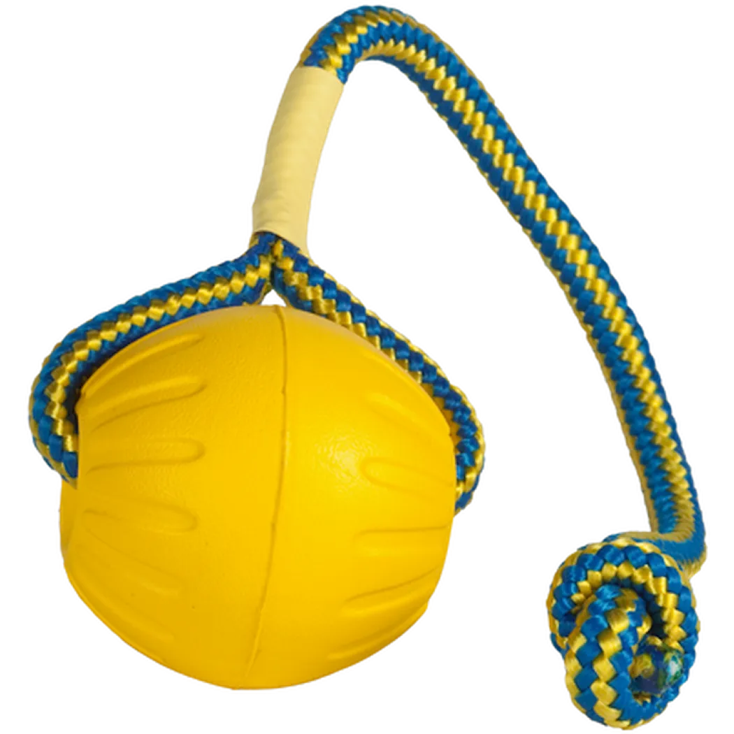 StarMark Swing & Fling Durafoam Fetch Ball on a rope Yellow Medium
