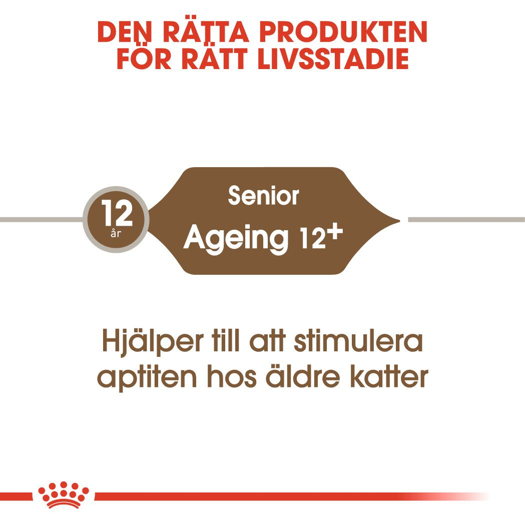 Ageing 12+