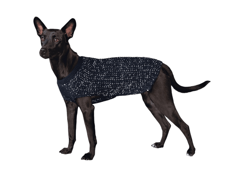hunter_finja_pullover_blue_hund.png