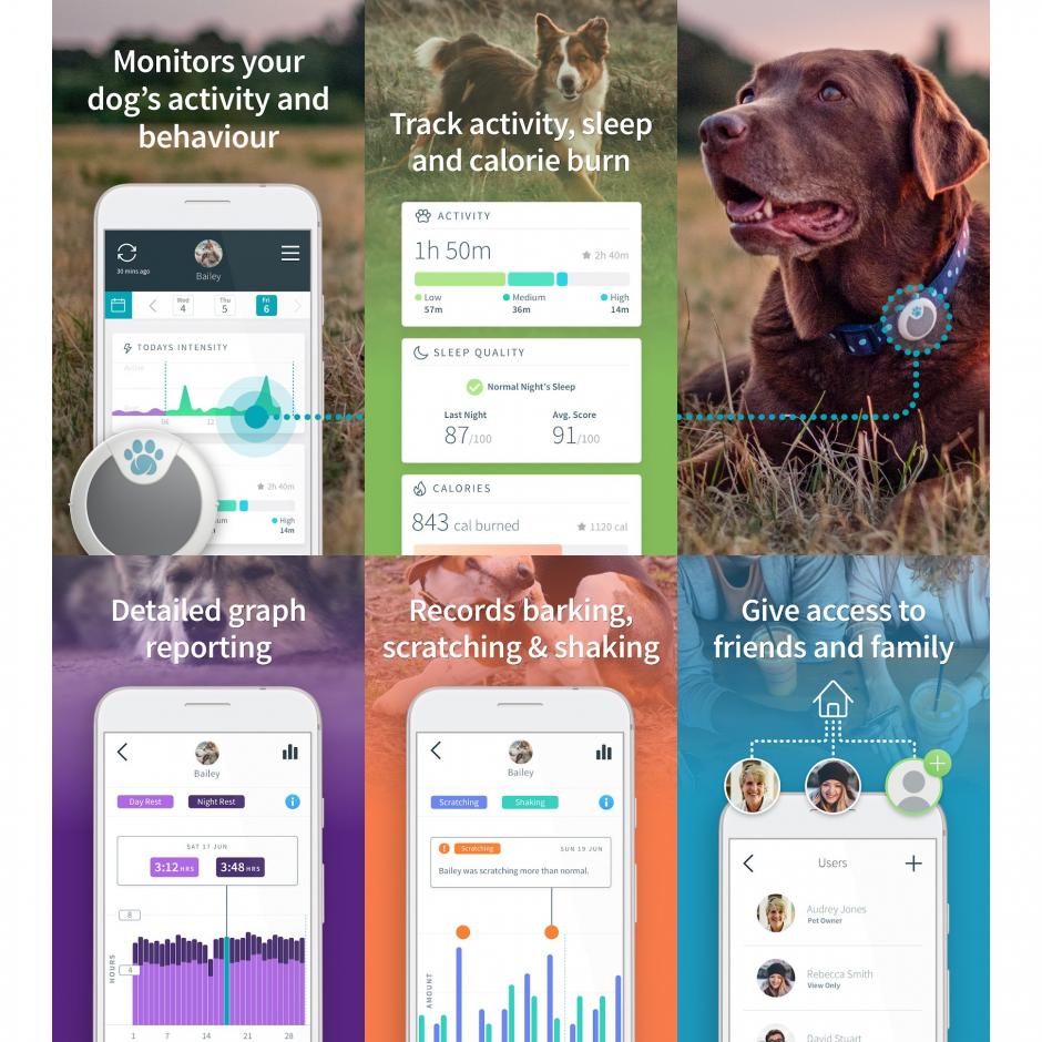 Petcare Animo Activity Tracker ZOO.se