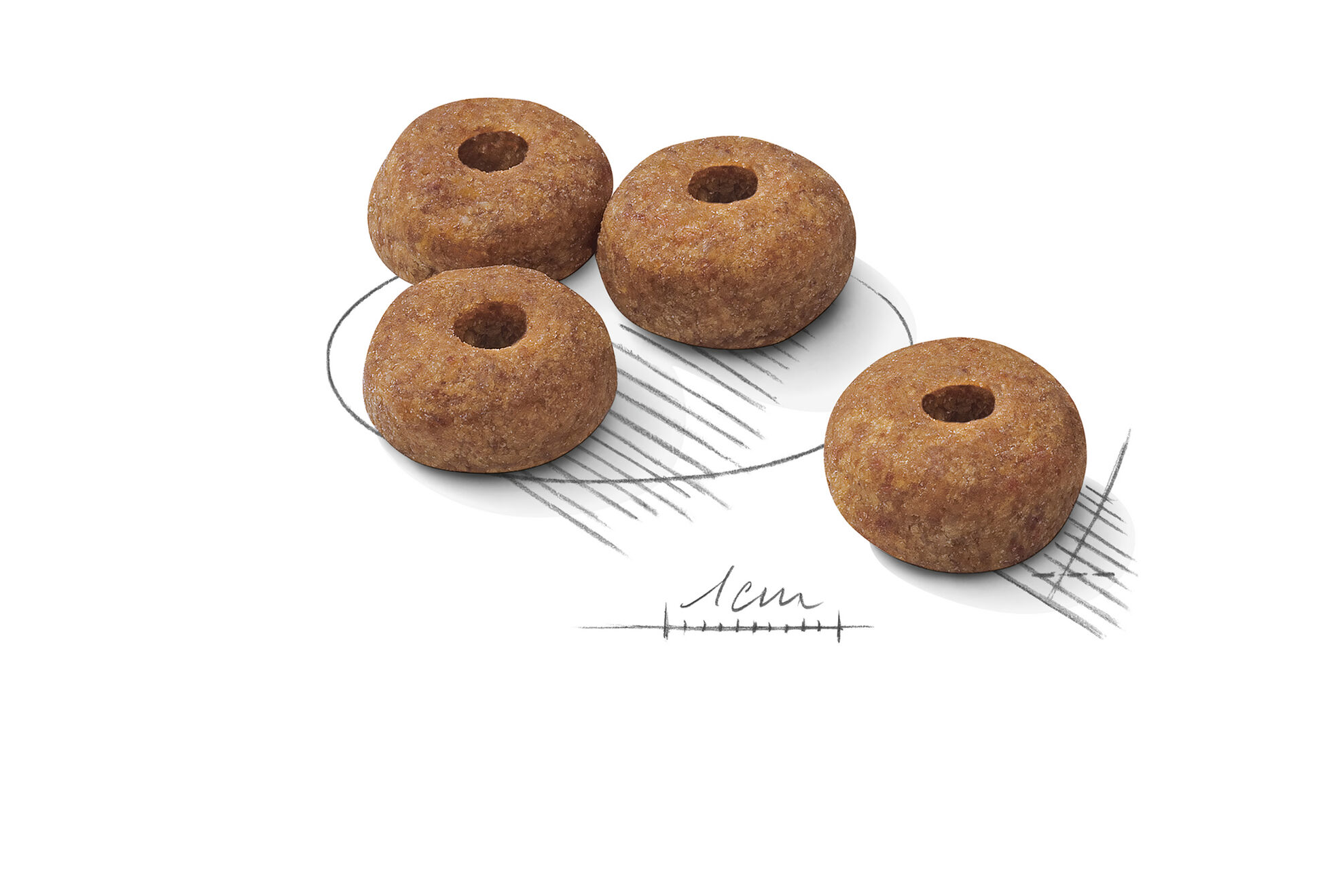 Sterilised Medium Adult