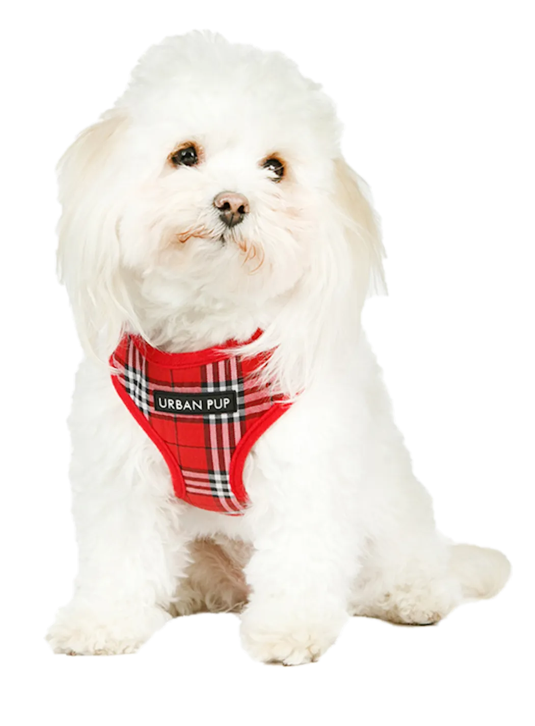 urban pup tartan röd harness hund.png
