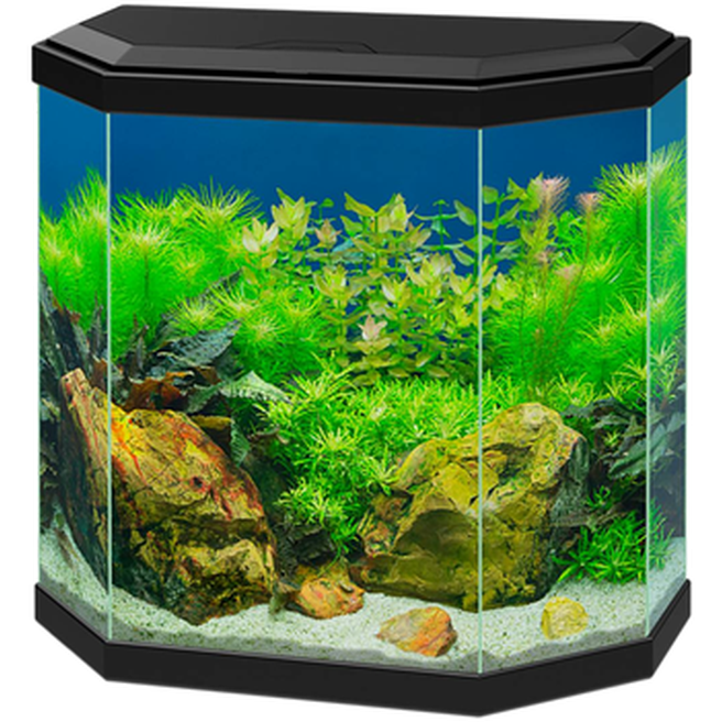 Ciano - Aquarium Aqua Black 25 L - Akvaristik - Akvarium - Akvarium & startpaket för akvarium - ZOO.se