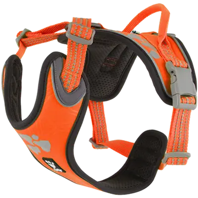 Weekend Warrior Harness Neon Orange 40-45