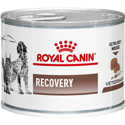 Preview of Royal Canin Veterinary Diets Dog Gastrointestinal Recovery Ultra Soft Mousse Våtfoder för katter och hundar 195 g x 12