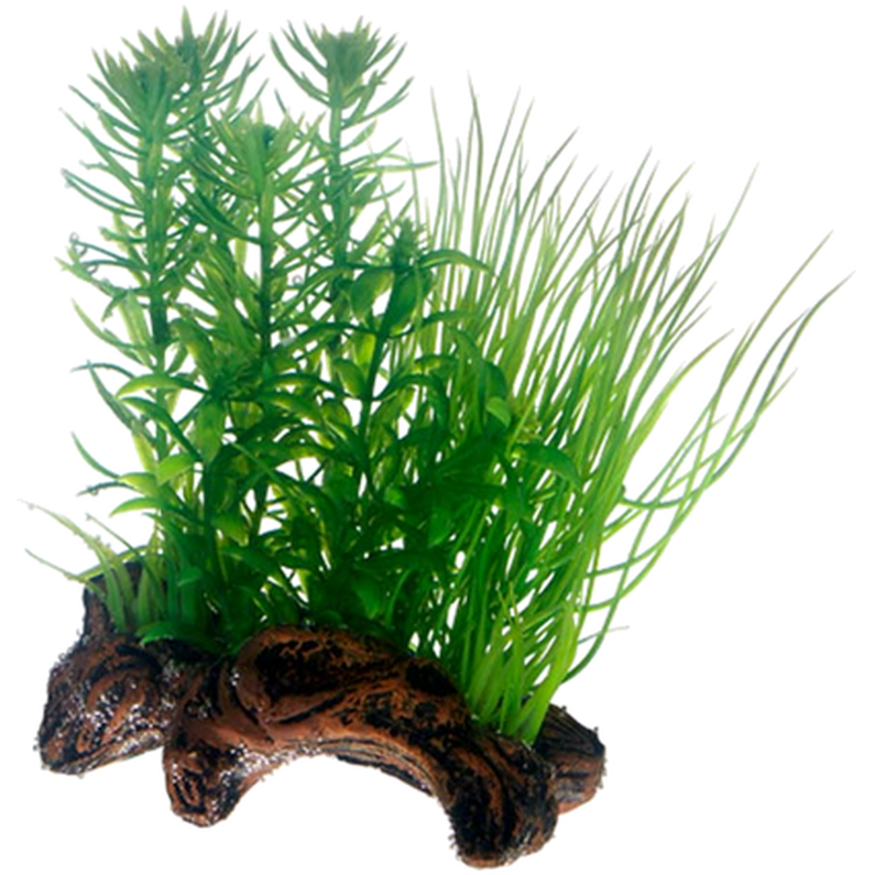 Hobby - Flora Root 2 L 30cm - Akvaristik - Akvarieinredning - ZOO.se