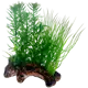 Flora Root 2