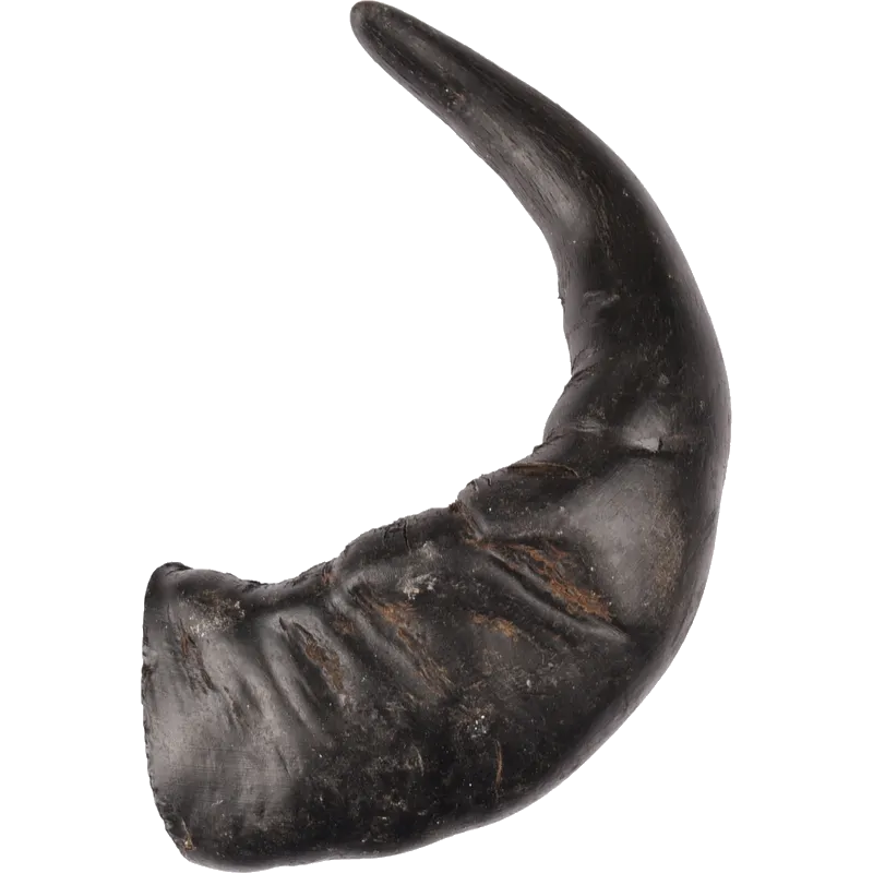Flamingo - Dog Nature Snack Buffalo Horn Large 1-pack - Hund - Hundgodis - ZOO.se