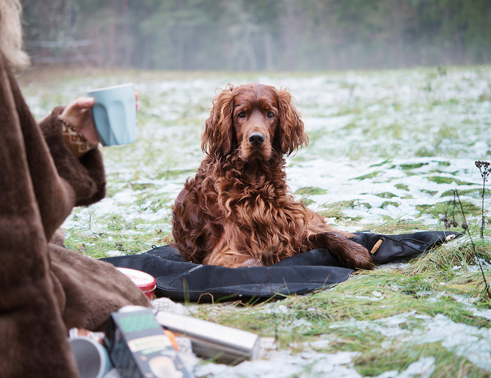 4256, 4257, 4258 (4).jpg