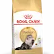 Royal Canin Persian Adult kissan kuivaruoka