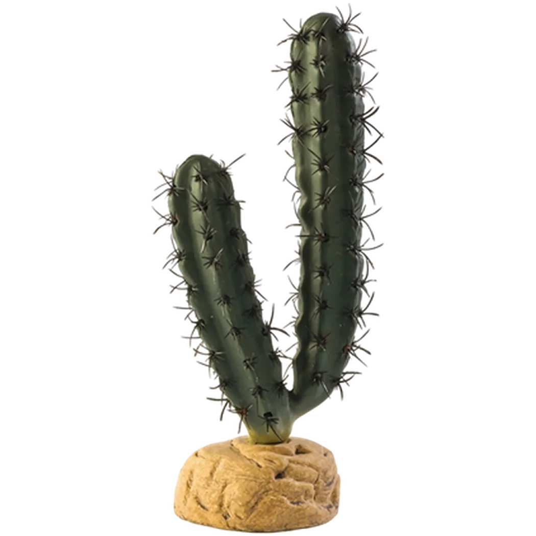 Exoterra Fingerkaktus - Ørkenplanter på bakken Grønn 7 cm