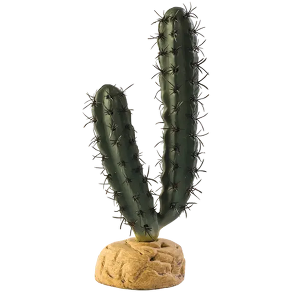 Finger Cactus - Desert Ground Plants