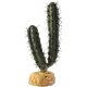 Fingerkaktus - Ørkenplanter på bakken Grønn 7 cm