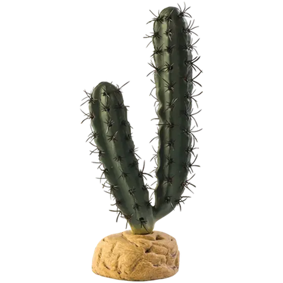 Finger Cactus - Desert Ground Plants Green 7 cm