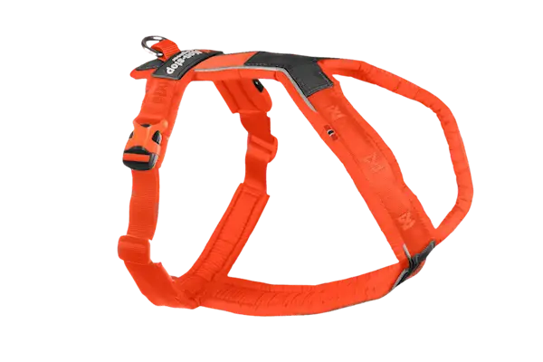Line harness 5.0 Orange