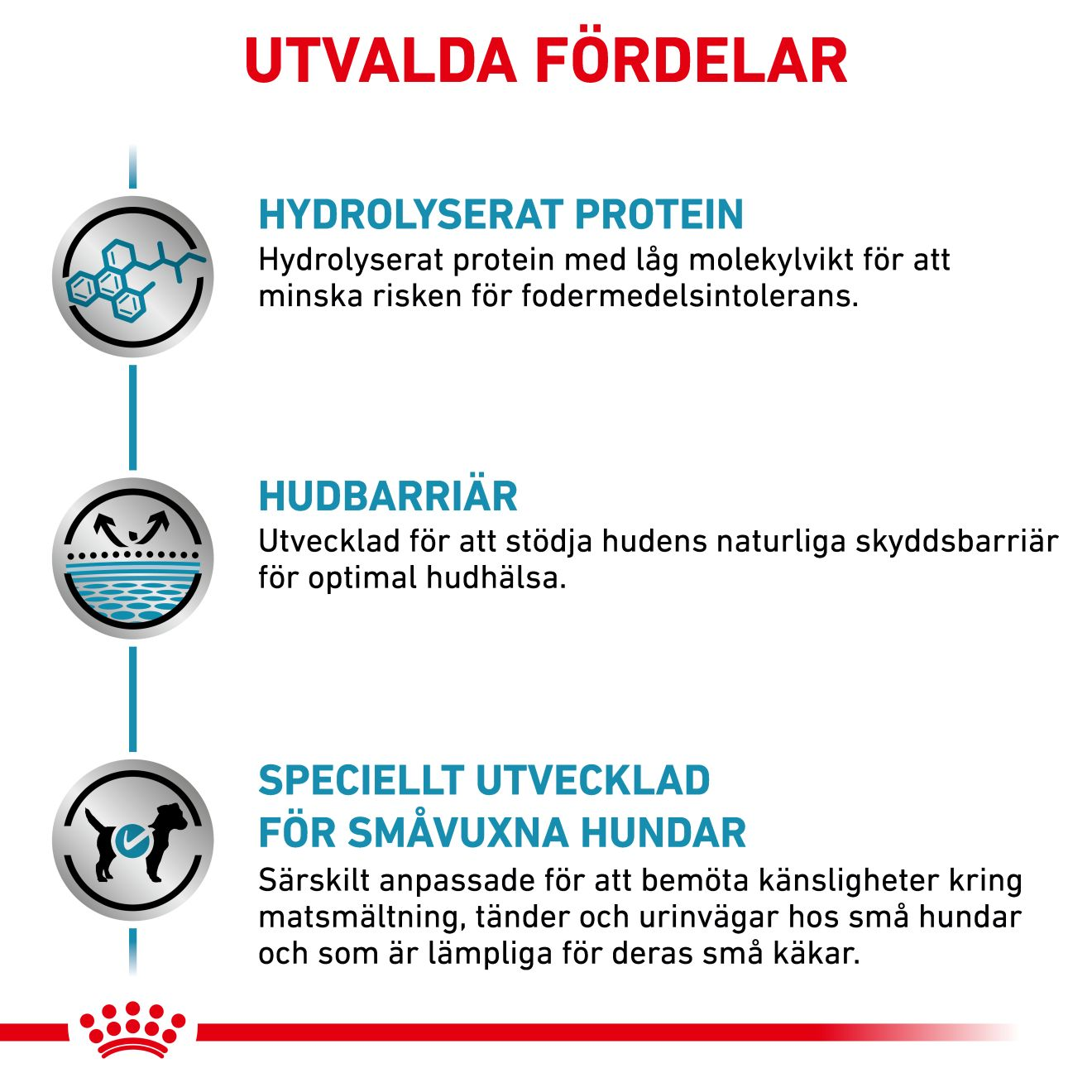 Derma Hypoallergenic Small Dog