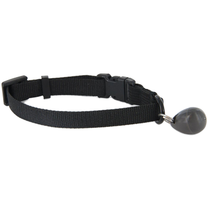 Petsafe - Staywell® Replacement Magnetic Collar Key - Katt - Kattsäkerhet & Dörrar - ZOO.se