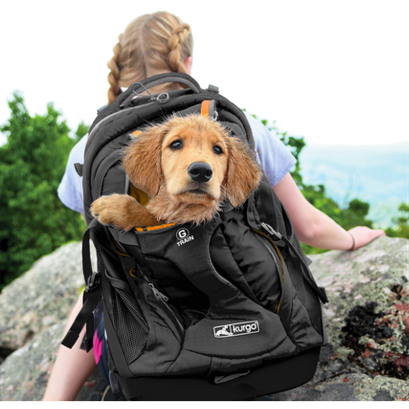 Dog carrier online bag