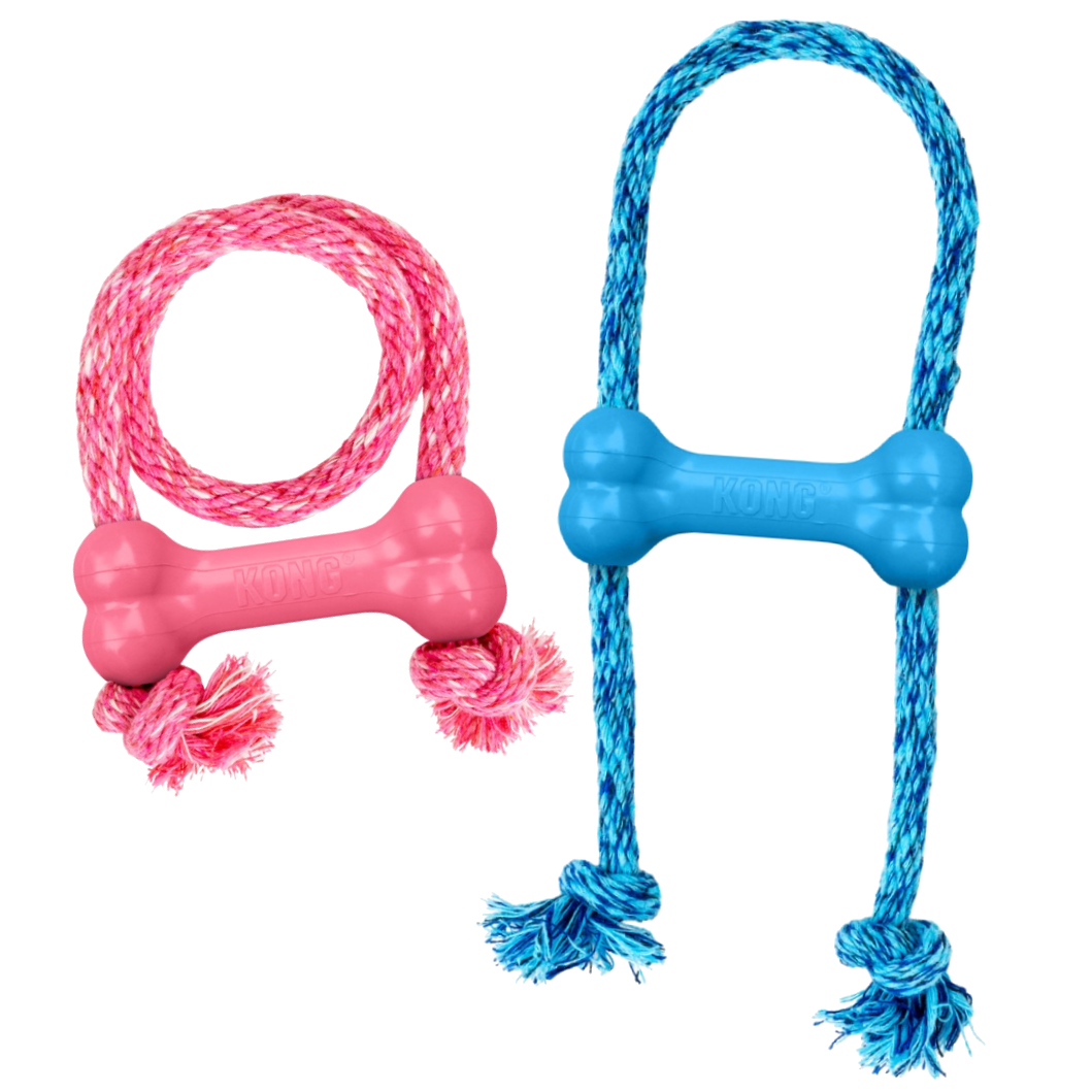 Kong Puppy Goodie Bone with Rope XSmall - Mixed color