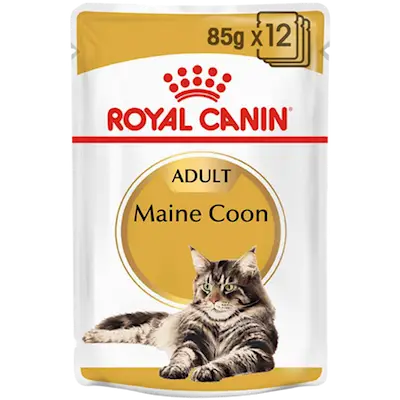 Maine Coon Adult Våtfoder för katt