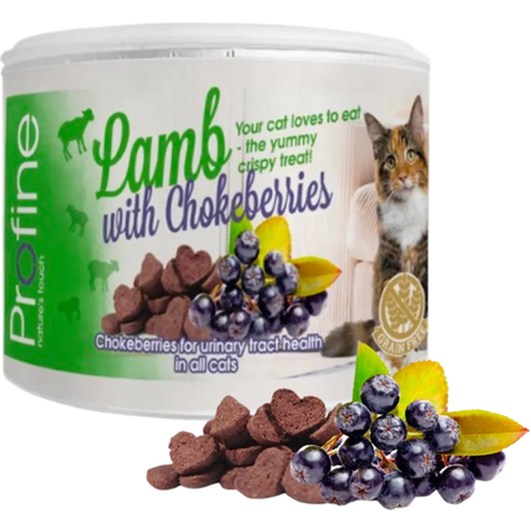 Cat Crunchy Snack Lamb & Chokeberries Berry Green 50 g