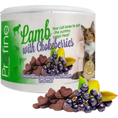 Cat Crunchy Snack Lamb & Chokeberries Berry 50g