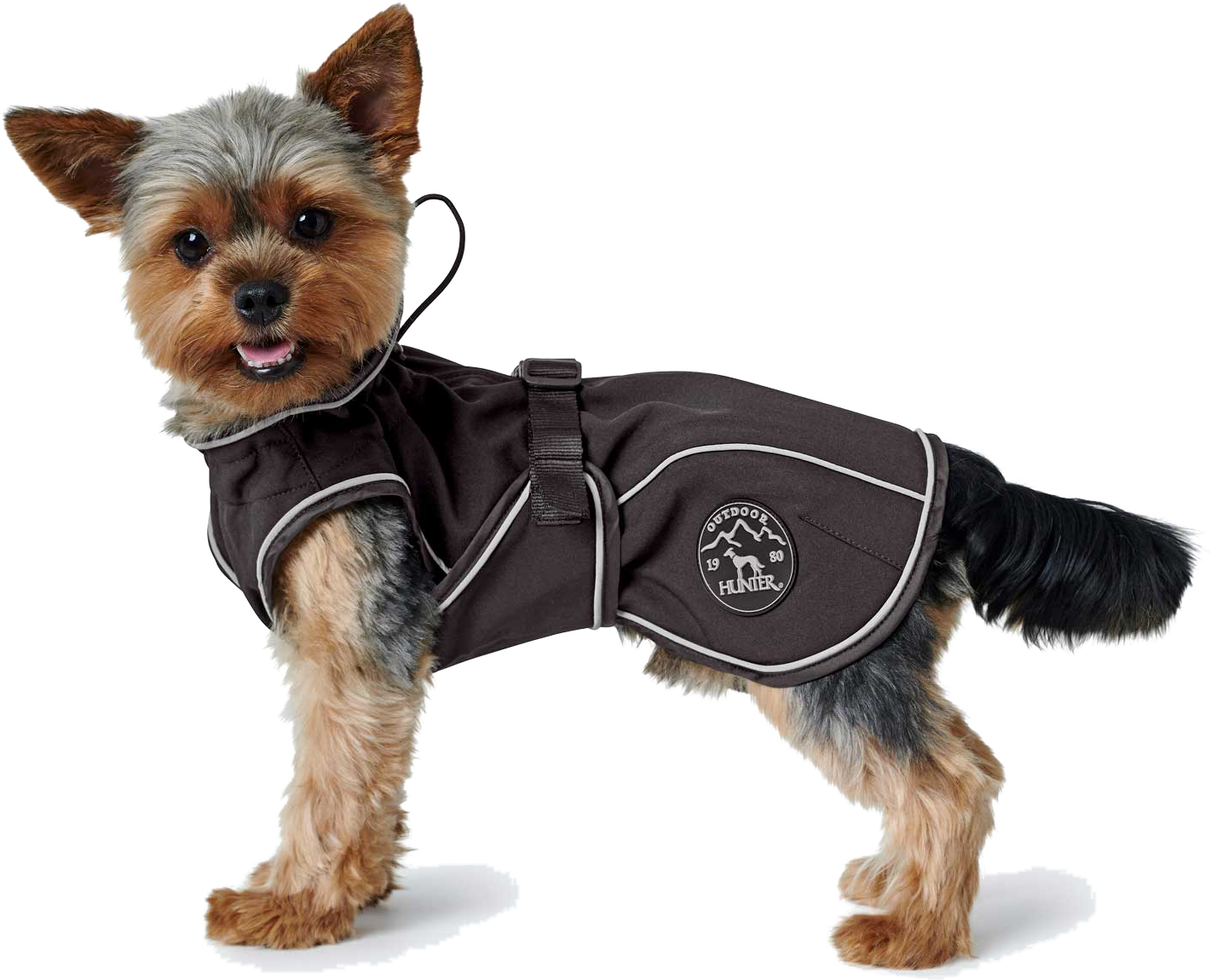 hunter_dog_coat_clothes_softshell_uppsala_black_01