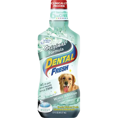 Dental Fresh Dog