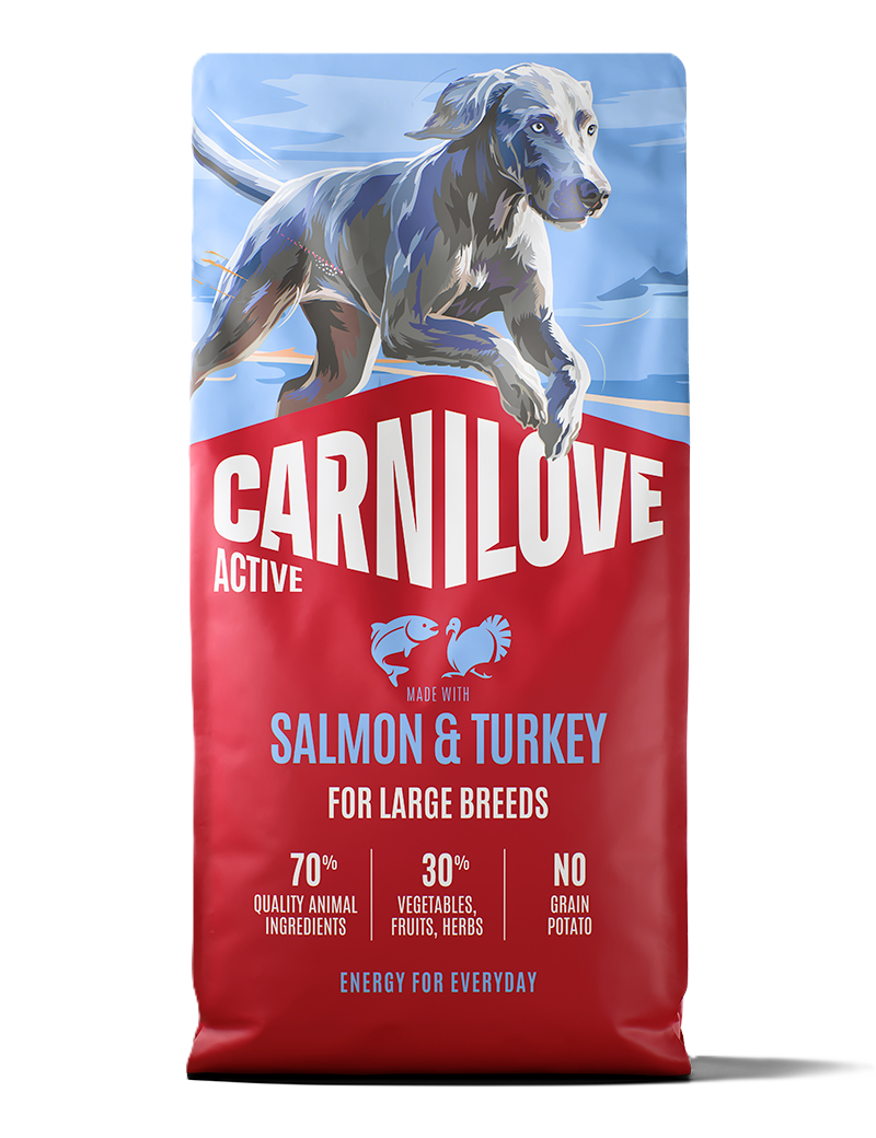Carnilove Active Dog Salmon & Turkey for Adult Large Breeds